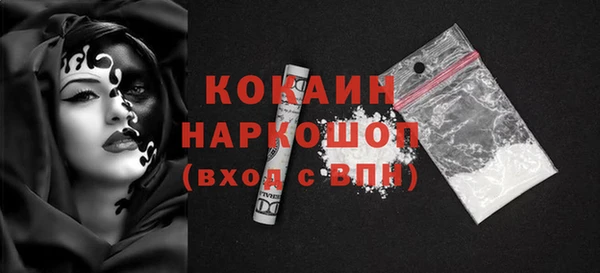 хмурый Гусь-Хрустальный