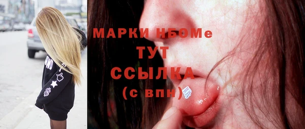 хмурый Гусь-Хрустальный