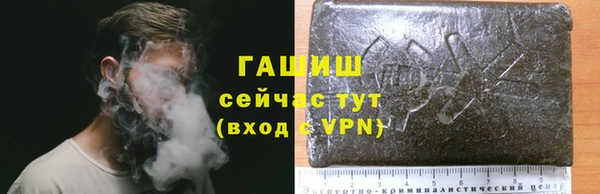 круглые Гусев