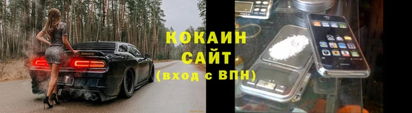 хмурый Гусь-Хрустальный