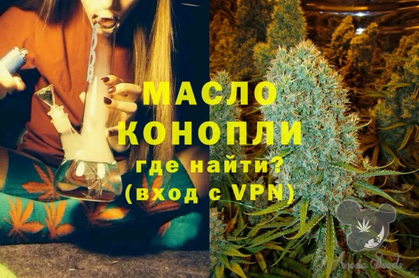 хмурый Гусь-Хрустальный