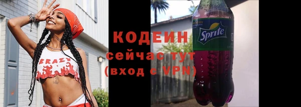 круглые Гусев
