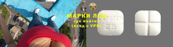 круглые Гусев