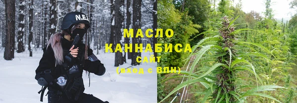 хмурый Гусь-Хрустальный