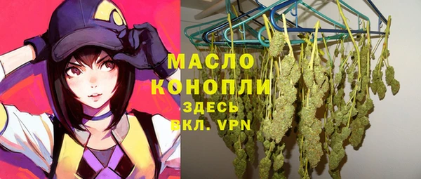 хмурый Гусь-Хрустальный
