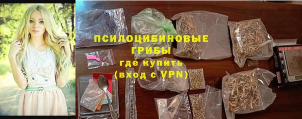хмурый Гусь-Хрустальный
