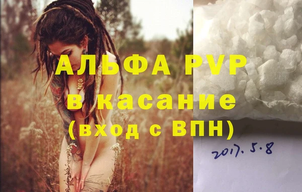 круглые Гусев