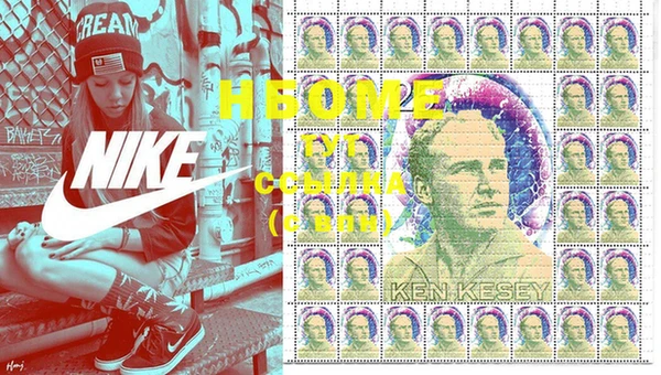 хмурый Гусь-Хрустальный