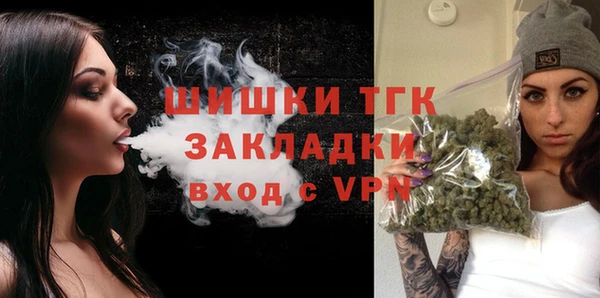 круглые Гусев